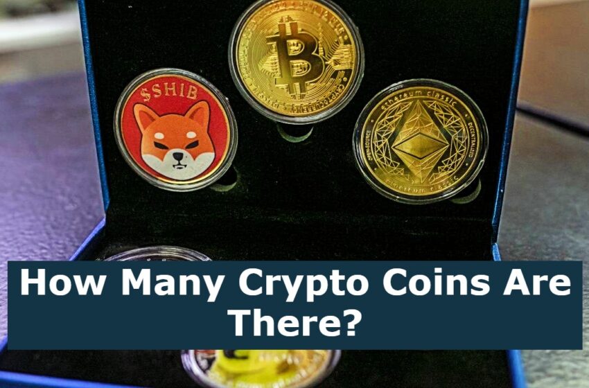  How Many Crypto Coins Are There?