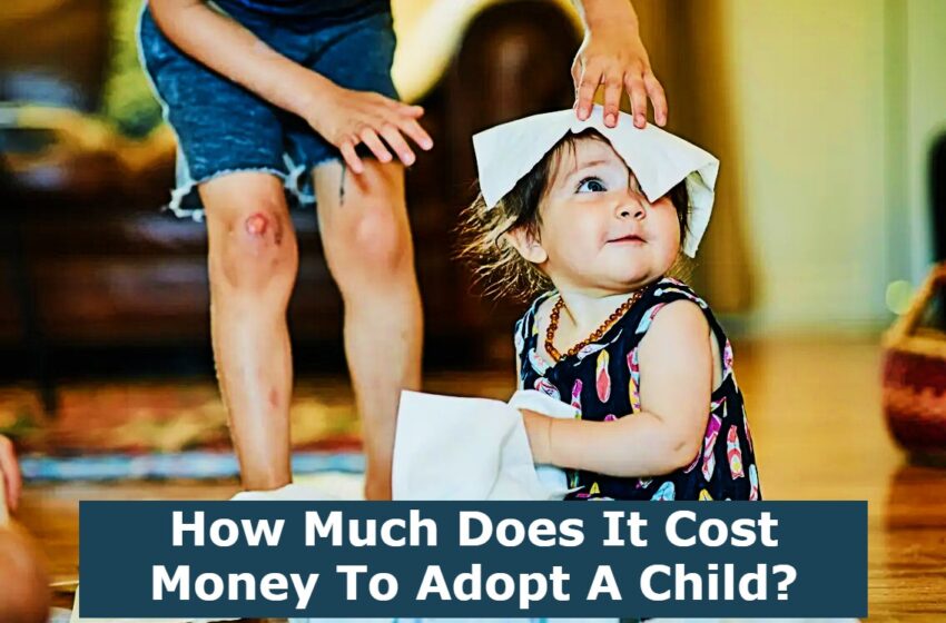  How Much Does It Cost Money To Adopt A Child?