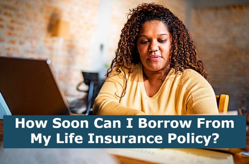  How Soon Can I Borrow From My Life Insurance Policy?