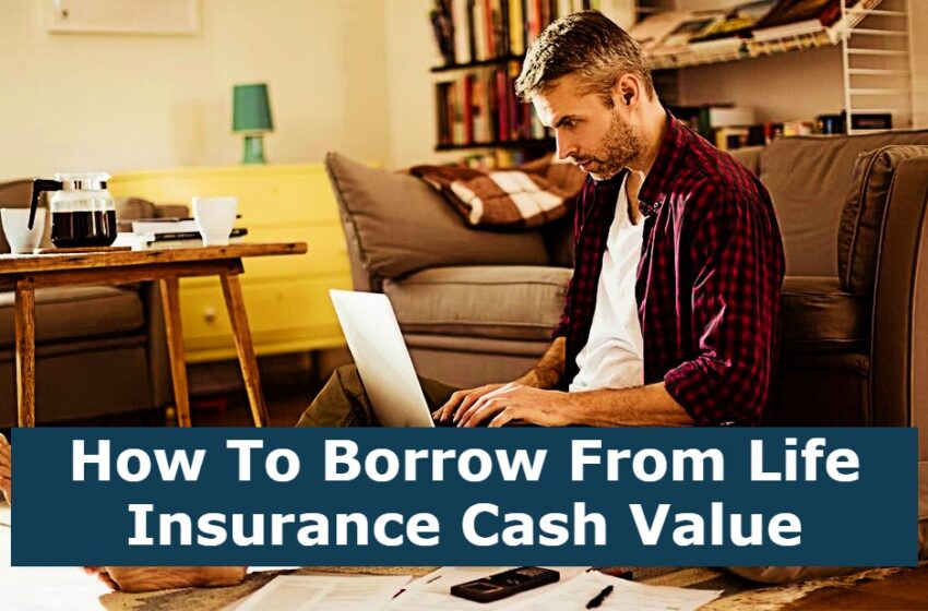  How To Borrow From Life Insurance Cash Value
