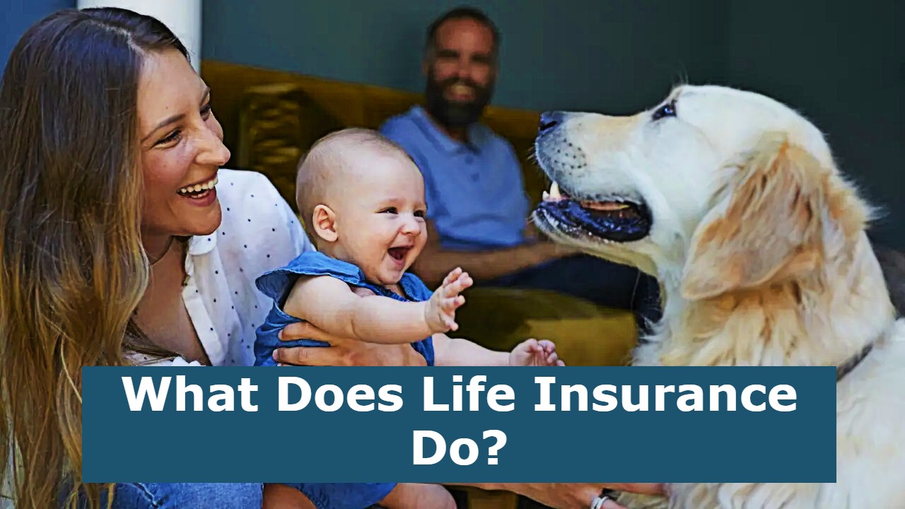What Does Life Insurance Do?